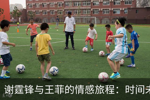 谢霆锋与王菲的情感旅程：时间未能改变的牵绊